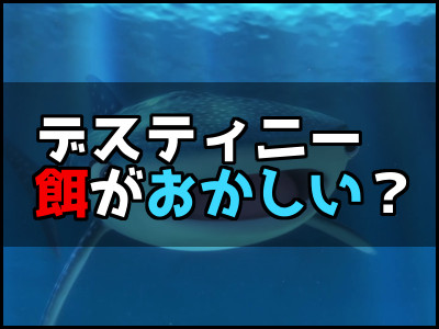 ファインディングドリーサメのデスティニーは餌がおかしい さかなクンは指摘しなかった 雑技林